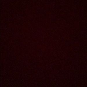 Meet your Posher, Marlene